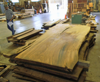 Giant Northwest Natural Wood Slabs